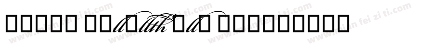 Selva Script Pro Lig字体转换